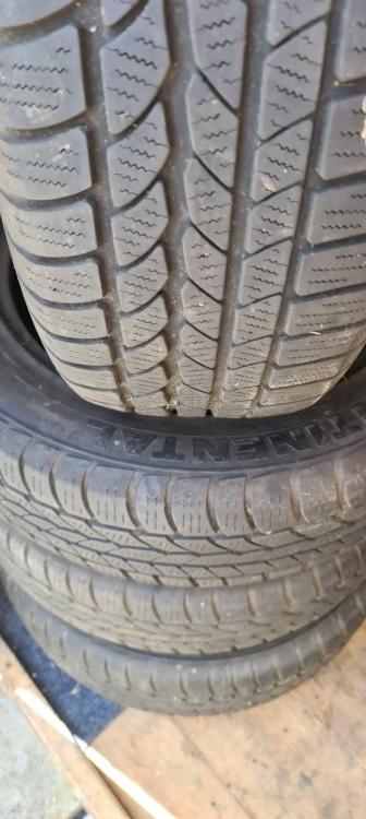 winter 215 60 17.jpg